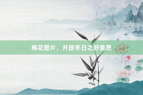 梅花图片，开放冬日之好意思