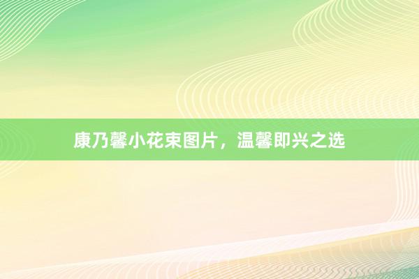 康乃馨小花束图片，温馨即兴之选