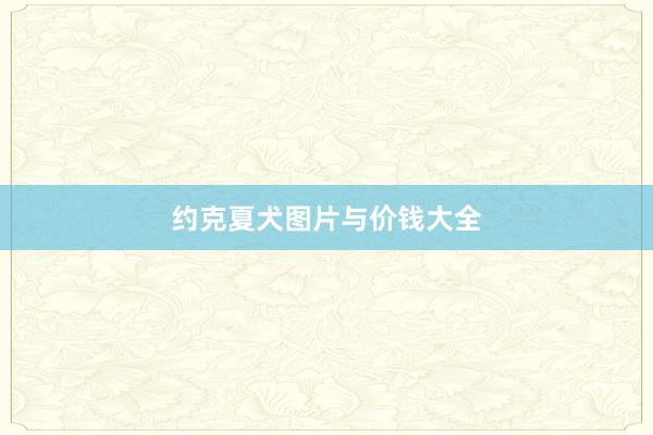 约克夏犬图片与价钱大全