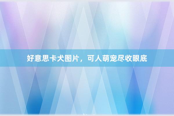 好意思卡犬图片，可人萌宠尽收眼底