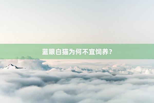 蓝眼白猫为何不宜饲养？
