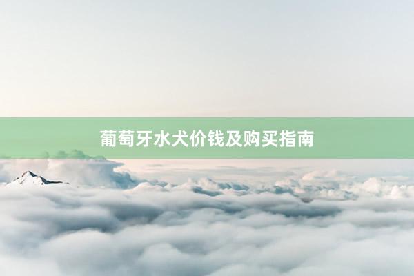 葡萄牙水犬价钱及购买指南
