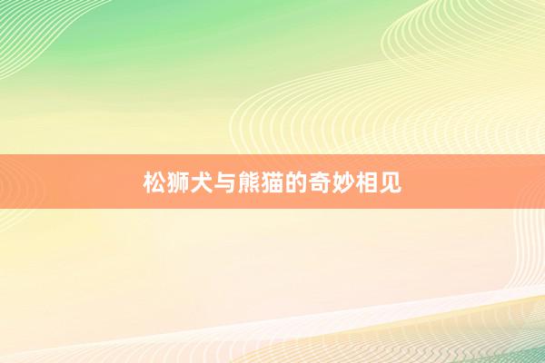 松狮犬与熊猫的奇妙相见